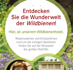 HHs! Wildbienen-infoTafel2 web